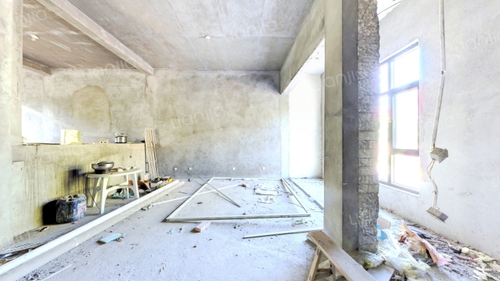 桃花源别墅二手房实景图