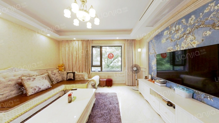 大家小墅二手房实景图