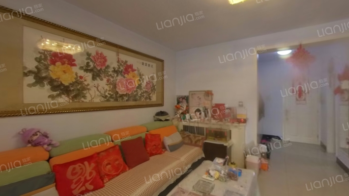 雅竹小区二手房实景图