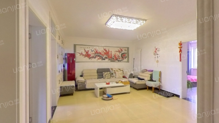 锦纶厂家属院二手房实景图