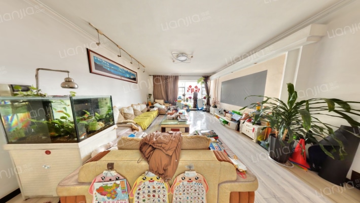 金兰小区二手房实景图