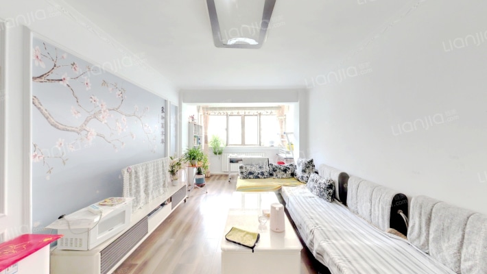 大华公司家属院二手房实景图