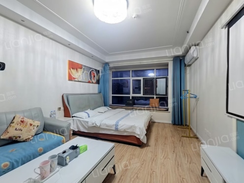 整租·富饶中心 1室1厅 北