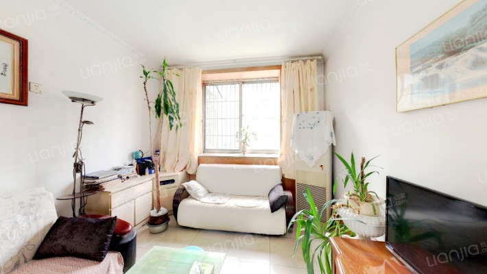 体坛小区二手房实景图