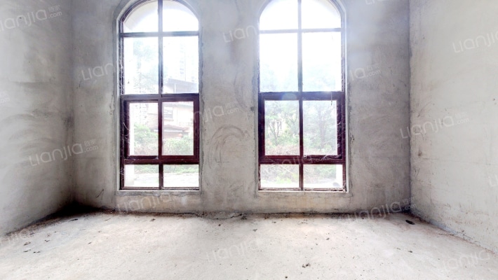 碧桂园山湖城林湖二手房实景图