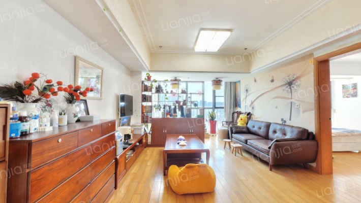 南苏州中央鼎寓二手房实景图