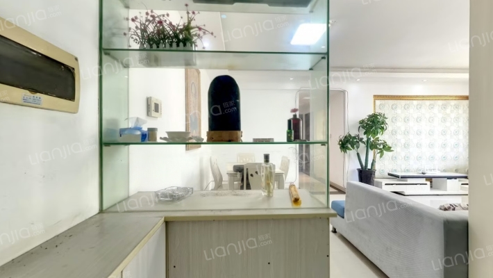 东方明珠二手房实景图