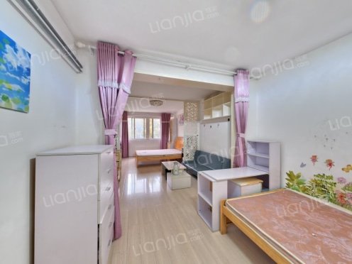 整租·东仲小区 1室1厅 南/北