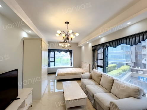 整租·紫宸星座 1室1厅 南/北