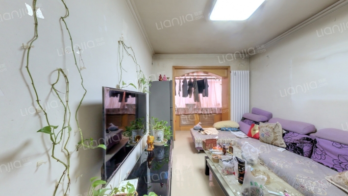 造纸厂家属院二手房实景图
