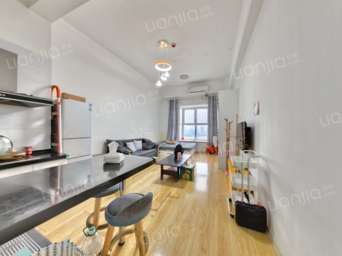 整租·滨海1号 1室0厅 东