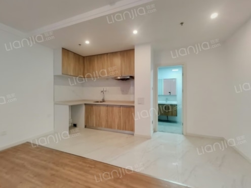 整租·凯琻中心 1室1厅 东/南/北