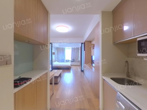 整租·中南金石国际广场 1室1厅 东