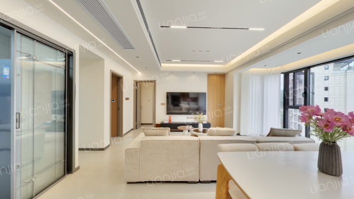 御湖新加坡国际社区二手房实景图