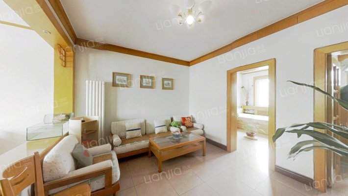 蔬菜公司家属院二手房实景图