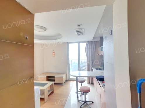 整租·达利广场 1室1厅 南