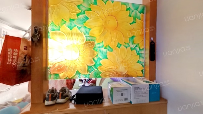 鸿龙嘉园二手房实景图