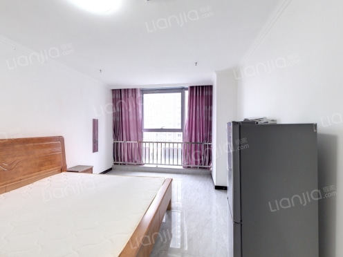 整租·东方今典 华尔中心 1室1厅 南