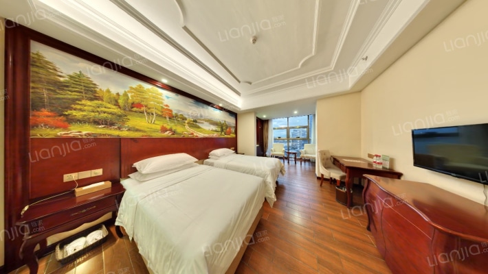 维也纳国际酒店海景公馆二手房实景图