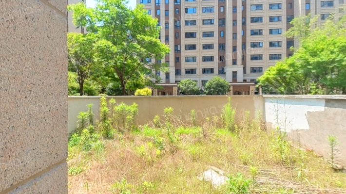 紫金湾B区二手房实景图