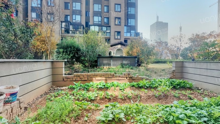 尚阳香颂二手房实景图