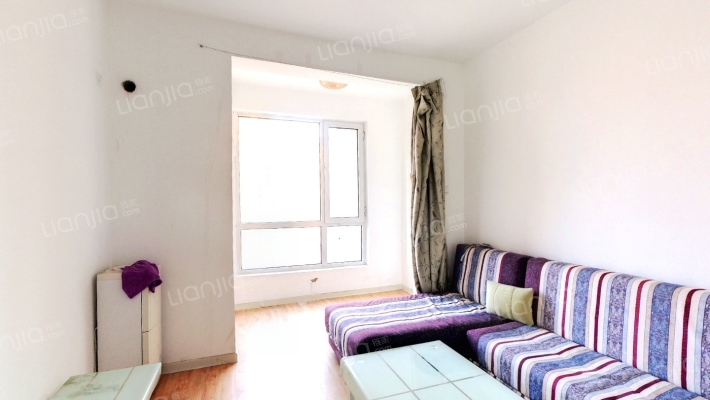 大社区，中高楼层，采光充足，德信公园旁-客厅