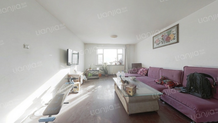 林园小区二手房实景图