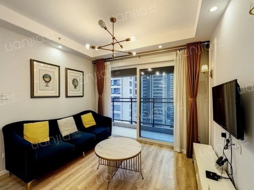 整租·龙湖上城天街广场 2室1厅 南