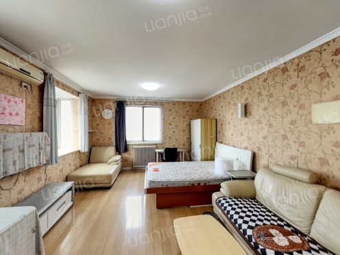 整租·城建鼎都 1室1厅 南