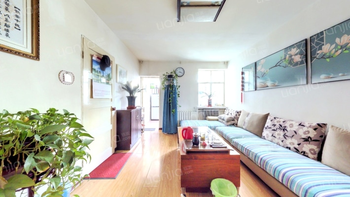 木材厂家属院二手房实景图