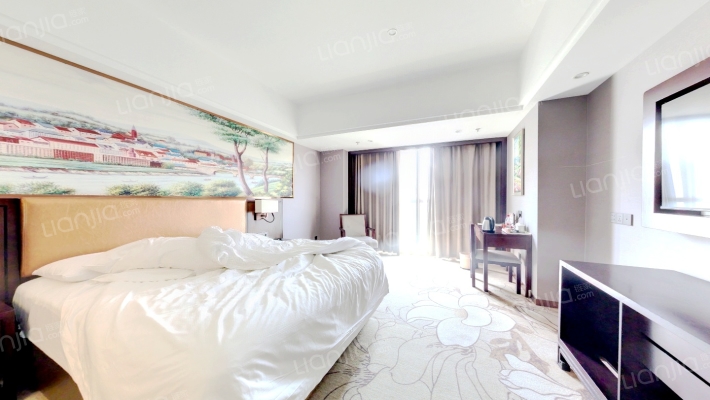 维也纳国际酒店二手房实景图