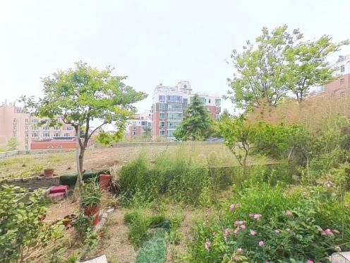 整租·丽都国际 3室2厅 南/北