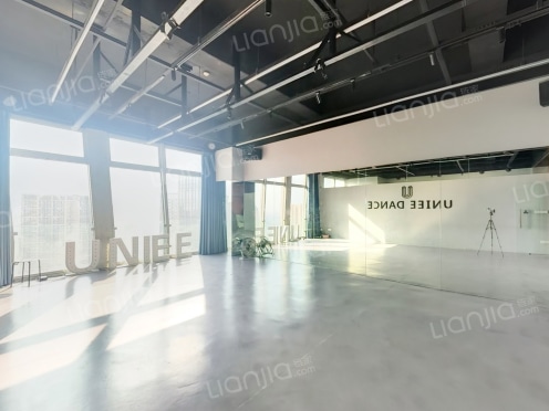 整租·力帆红星国际广场 1室0厅 东