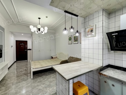 整租·紫金一品 1室1厅 北