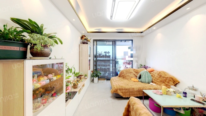 中南十二集二手房实景图