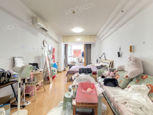 整租·黄金岁月 1室1厅 东