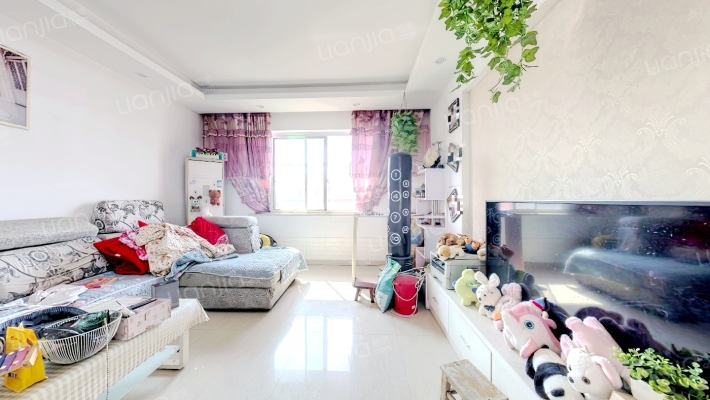 大树家园二手房实景图