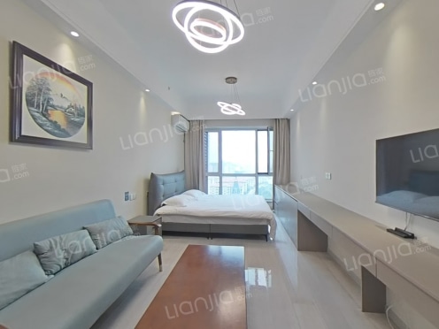 整租·鲁商蓝岸丽舍 1室0厅 东