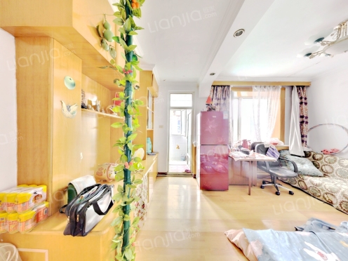 整租·红旗小区（淮河路） 1室1厅 东