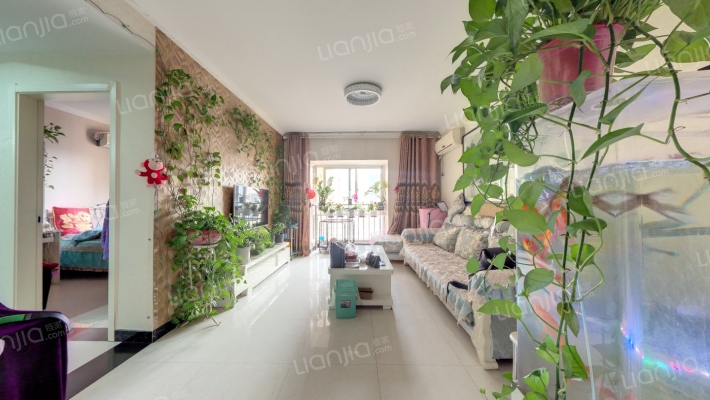 东泰城市之光西区 二手房实景图