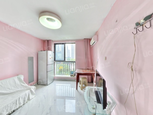 整租·浪高会展国际 1室1厅 东南/南