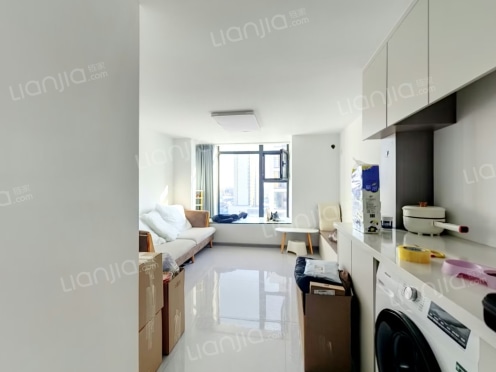 整租·荣盛·锦绣学府 1室1厅 南