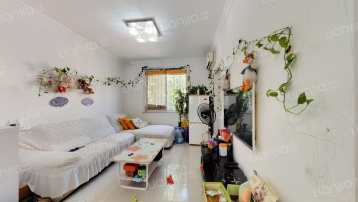 红峰新村北区二手房实景图