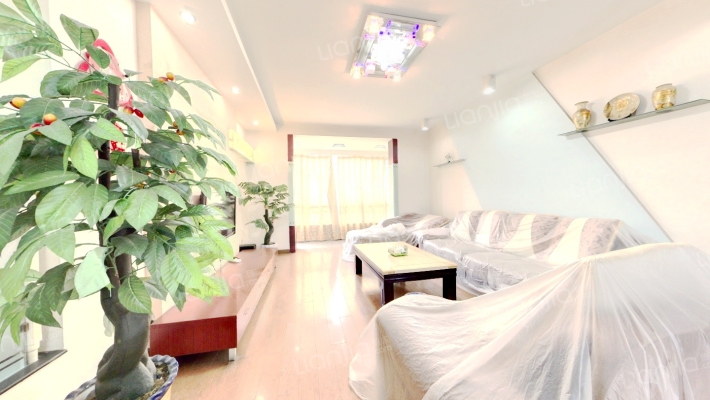 沙坪馨苑二手房实景图