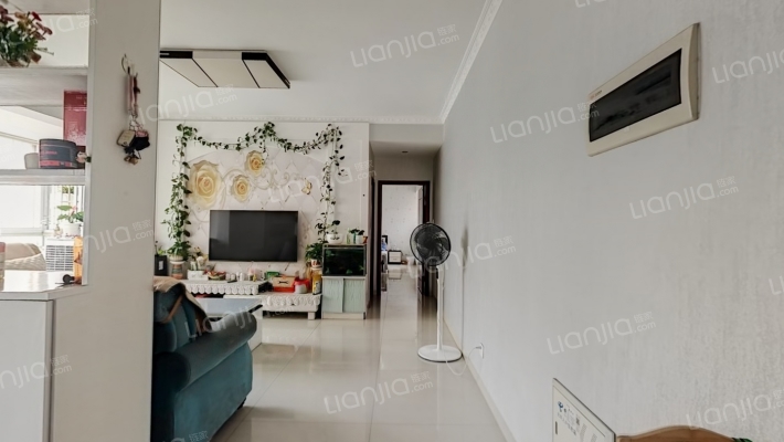 宝鼎金沙二手房实景图