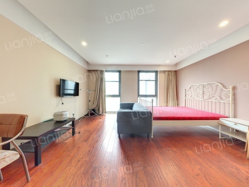 整租·金色海湾·巧克力公寓 1室1厅 南