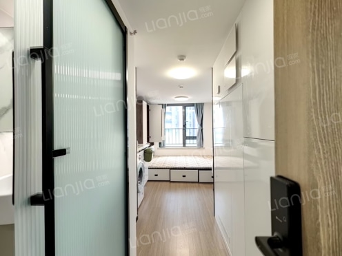 整租·越秀·星汇文玺 1室0厅 南