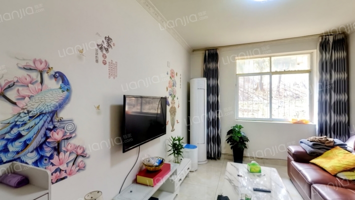 攀钢清香坪房区二手房实景图