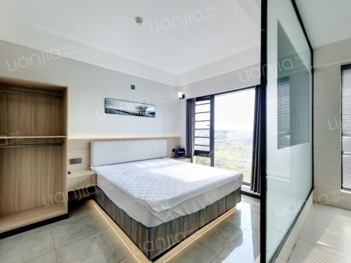 整租·金科天宸宸寓 1室0厅 东南