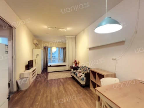 整租·东原黄山大道东 1室1厅 东